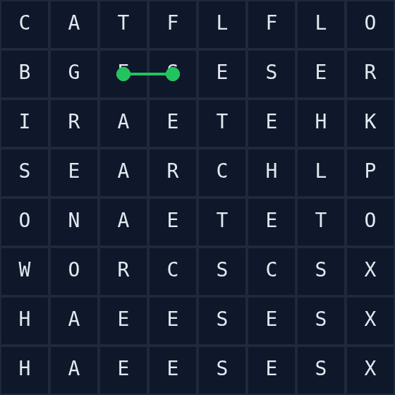Word Search Solver Visualizer